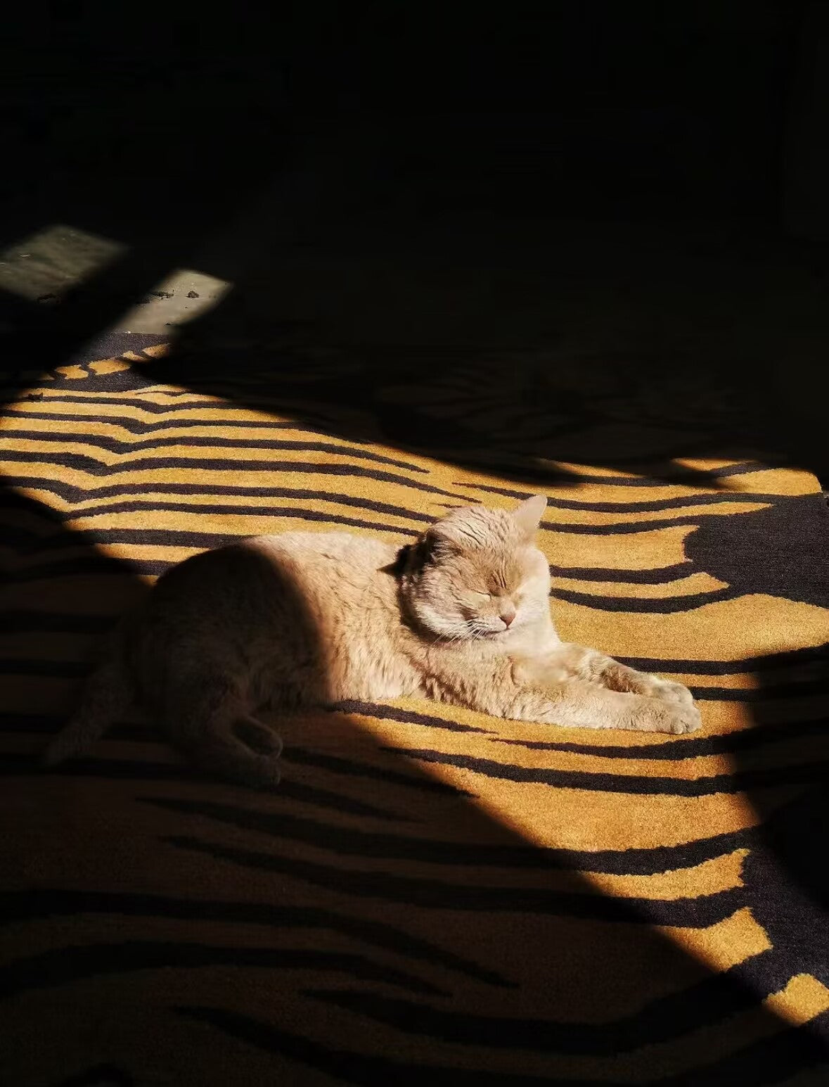 Premium Tibetan Rug Gallery